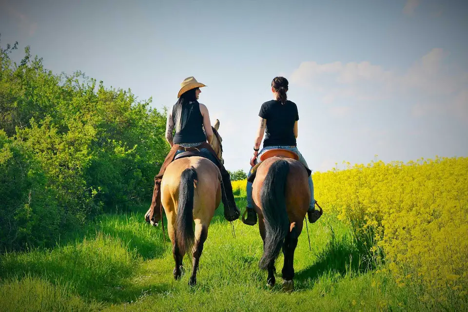 two ladies riding horses on a field